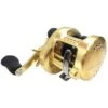 Shimano Calcutta Conquest 300/301 (2018) -Angeln Geschäft 0000010000000000r 1