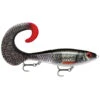 Rapala X-Rap Otus 25cm 1 Rapala X-Rap Otus 25cm -Angeln Geschäft 000011980014ARB0r 1
