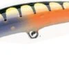 Nils Master Invincible 12cm 24g -Angeln Geschäft 03202502r 1