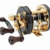 Abu Garcia Ambassadeur 5500 CDL (Goldrolle) -Angeln Geschäft 1119179 1