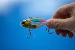 Berkley DEX Ripper -Angeln Geschäft 1572667r 5