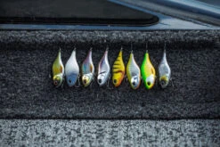 Berkley DEX Ripper -Angeln Geschäft 1572667r 6