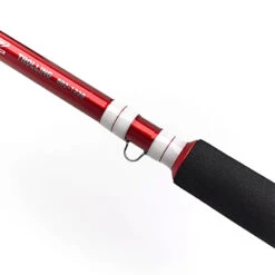 Daiwa Sealine Z Trolling -Angeln Geschäft 209084r 4