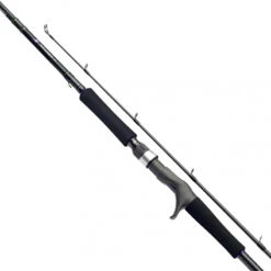 Daiwa Prorex XR Baitcast -Angeln Geschäft 216235r 2