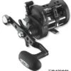 Daiwa Saltist Levelwind Casting Reel -Angeln Geschäft 640161 biosr 1