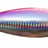 NosyBefisherman Big M15 Popper 150mm, 85g -Angeln Geschäft BIGM1585r 1