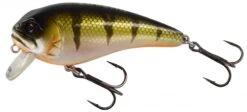 Westin FatBite 8 Cm 24 G Floating