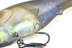 Molix Hybrid Swimmer 16,5cm, 70g -Angeln Geschäft HS165 102r 3