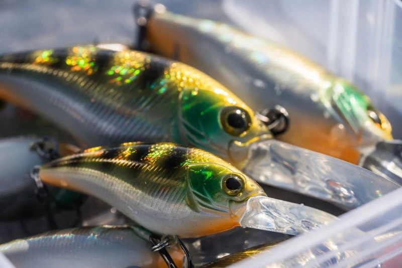 Shimano Yasei Cover Crank F 6 Shimano Yasei Cover Crank F – Bild 4