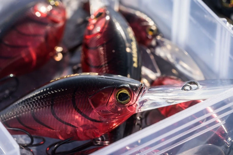 Shimano Yasei Cover Crank F 7 Shimano Yasei Cover Crank F – Bild 5