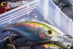 Shimano Yasei Cover Crank F 13 Shimano Yasei Cover Crank F -Angeln Geschäft LUYASCCFSR07RBTr 6