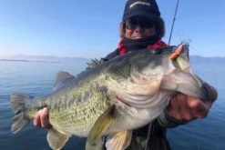 Megabass Dyna Response 14g -Angeln Geschäft MB DR 4513473478703r 3