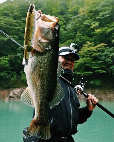 Madness Japan Balam Swimbait 4 Madness Japan Balam Swimbait – Bild 2