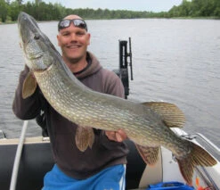 Rad Dog Spinnerbait - Ruff Tackle -Angeln Geschäft RADDOGr 2