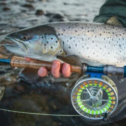 Vision Stifu Flyrod -Angeln Geschäft VFU4967r 3